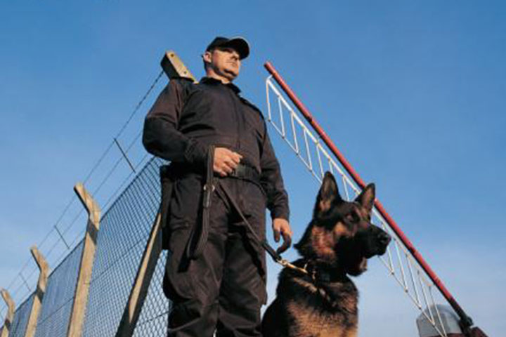 Parking Security For House